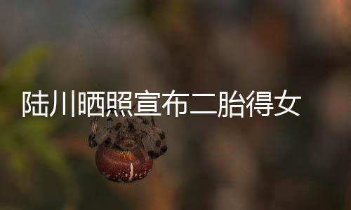 二胎得女宣布陆川 陆婆是川老晒照谁
