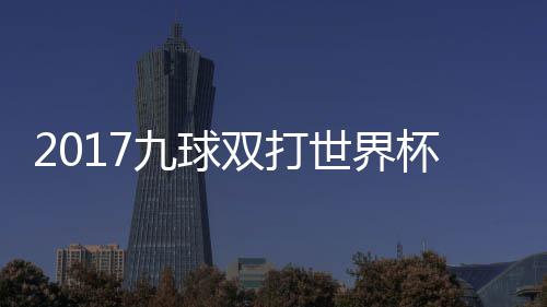像 美国之一九球杯录比赛双打世界四分视频芬兰